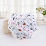 Cotton Training Diapers