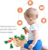 Kids Educational Toys