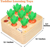 Kids Educational Toys