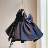 Big Bow Princess Sweet Dresses