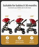 High Landscape Baby Stroller