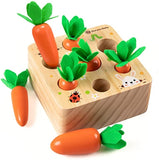 Kids Educational Toys