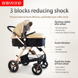 3 in 1 High Landscape Stroller
