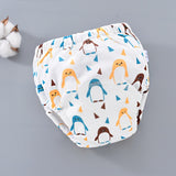 Waterproof Reusable  Baby Diaper