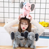 Elephant Plush Toys