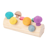Kids Educational Toys