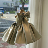 Big Bow Princess Sweet Dresses