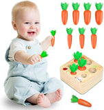 Kids Educational Toys
