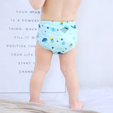 Waterproof Reusable  Baby Diaper