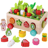 Kids Educational Toys