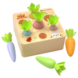 Kids Educational Toys