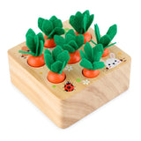 Kids Educational Toys