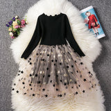 Fancy Flower Princess Dress