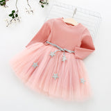 Fancy Flower Princess Dress