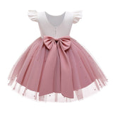 Embroidery Elegant Kids Princess Dresses