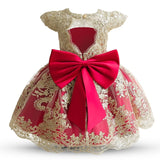 Embroidery Elegant Kids Princess Dresses