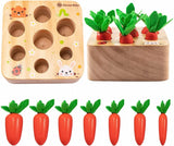 Kids Educational Toys