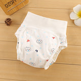 Baby Reusable Diapers