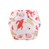 Kids Nappies Reusable Diaper