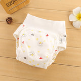 Baby Reusable Diapers