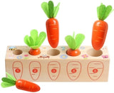 Kids Educational Toys