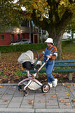 Baby   Land-Scape Stroller