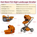 Baby   Land-Scape Stroller