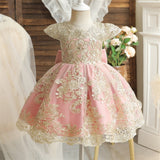 Embroidery Elegant Kids Princess Dresses