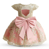 Embroidery Elegant Kids Princess Dresses