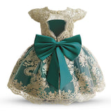 Embroidery Elegant Kids Princess Dresses