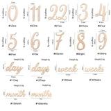 20pcs Baby Monthly Milestone Cards