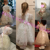 Infant Embroidery Wedding Dress